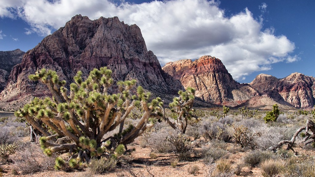 Nevada desert landscape